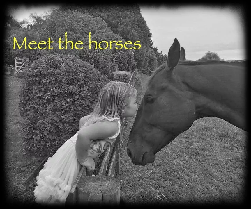 Le Relais de La Jemaye.