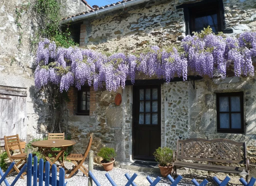 Les Glycines-Les Petites Pierres.