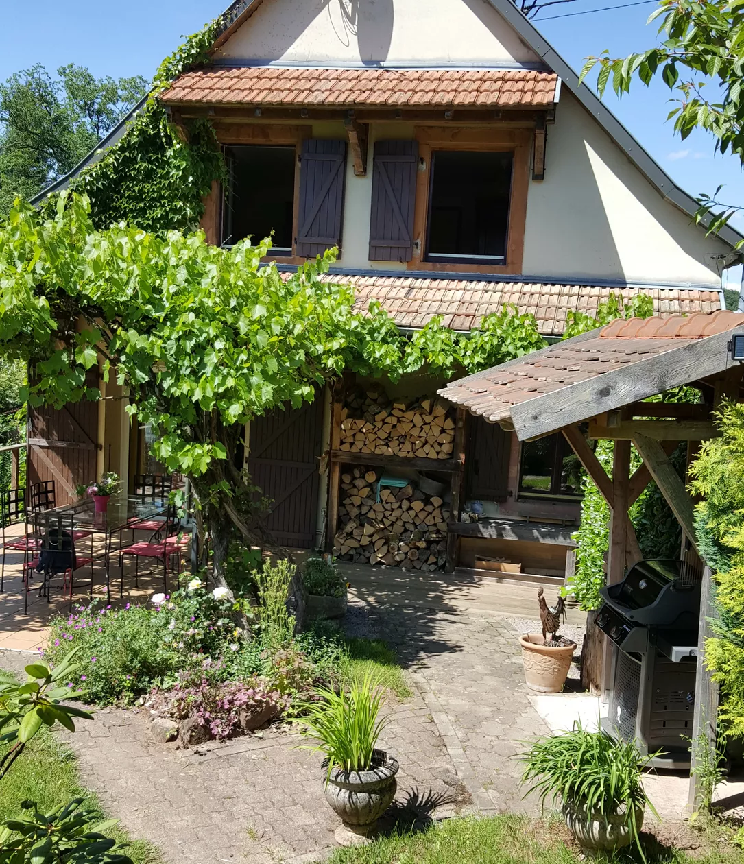 La colline aux oiseaux.