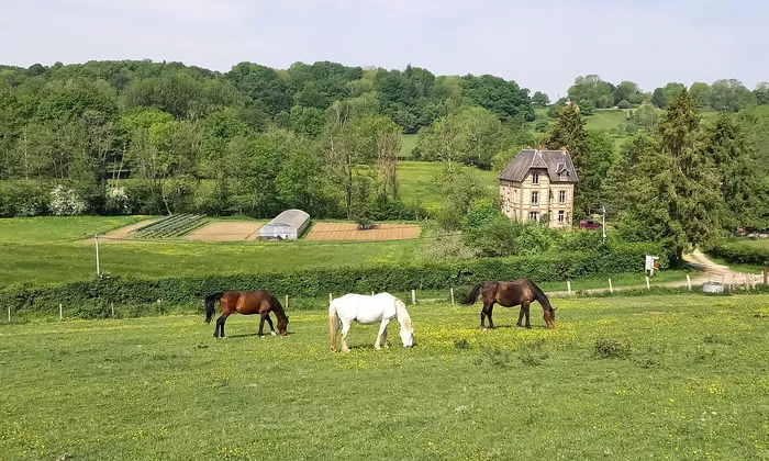 For sale Maison de Maitre with outbuildings and land