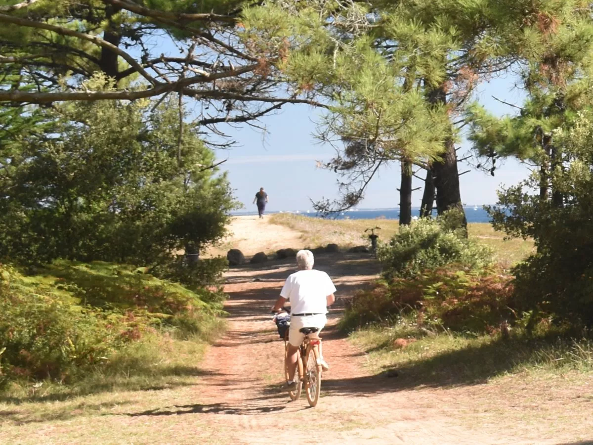 Au Passage du Gois - vakantiehuis op 800m van zee in de Vendée