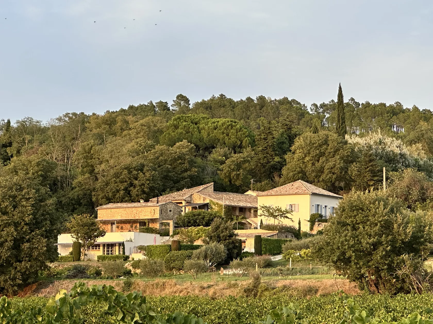 Domaine Cadignac - maison Carrée.