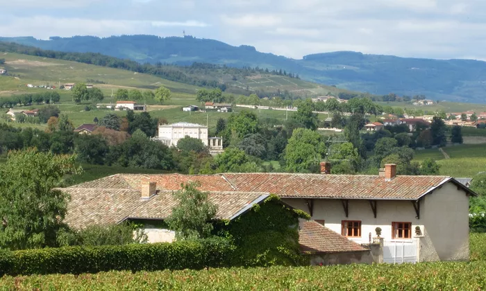 Renovated wine house in the Beaujolais. square shape, 5 bedrooms 4 bathrooms with 2 full gites.