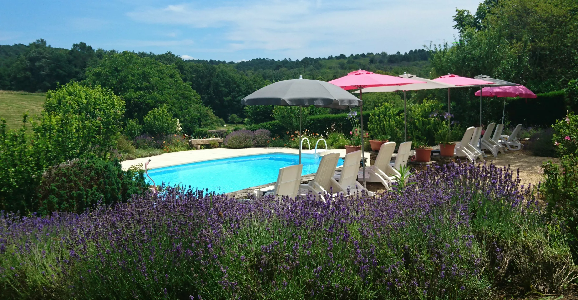 La Libellule a Les Leroux – afbeelding 2