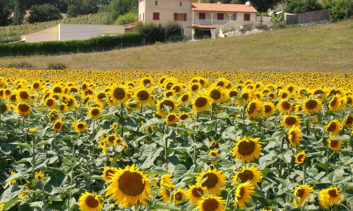 Zeer charmant vakantiedomein
