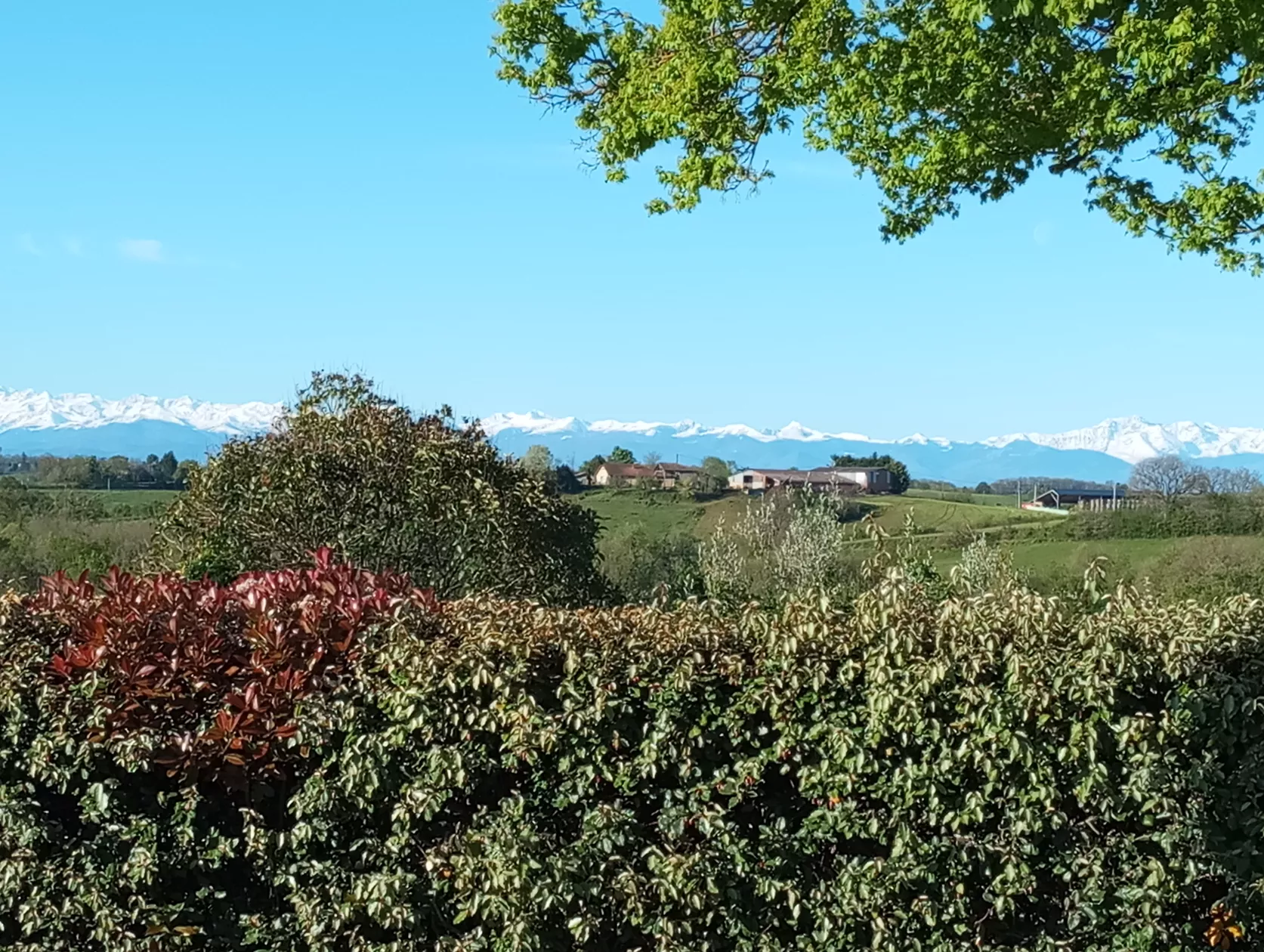 Lahitte – afbeelding 3