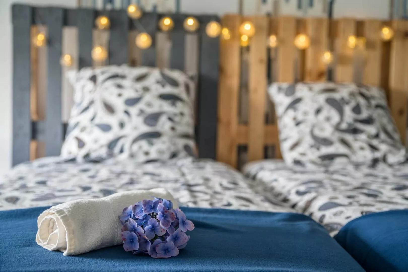 Les Hortensias du Camus